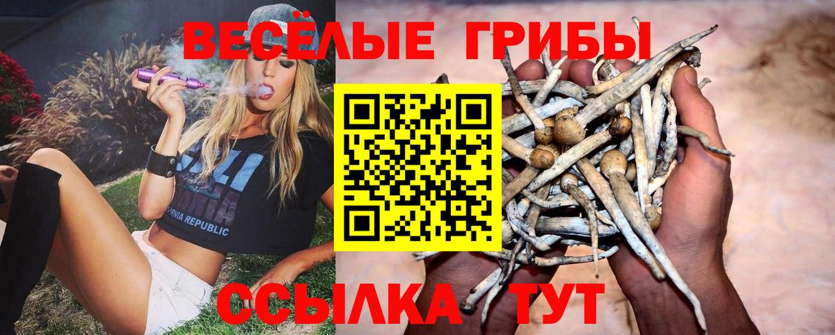 где можно купить   Галлюциногенные грибы мицелий  Вход с VPN  Псилоцибиновые грибы Psilocybine cubensis  Кисловодск 